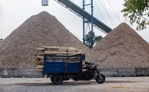A three-wheel vehicle carries wood chips.