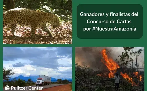 Ganadores y finalistas del Concurso de Cartas por #NuestraAmazonía