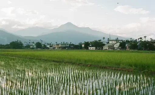 A view of Fata’an village, Taiwan, from behind, looking toward the central mountains.