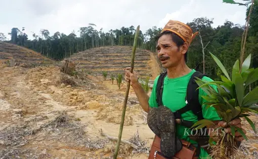 A man doning green shirt is carrying medicines at a site cleared by palm oil plantations.