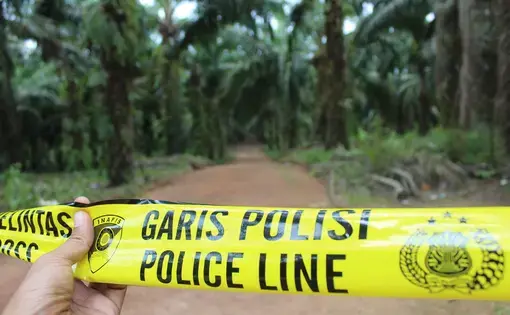 A yellow police line bars one from entering the forest.