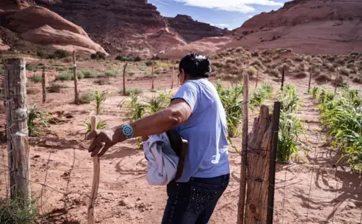 A Diné woman opens the gate to a plot of corn stalks in a dry red-clay mountainous valley