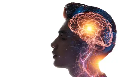 brain