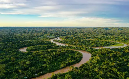 aerial view of the Amazon with a winding river