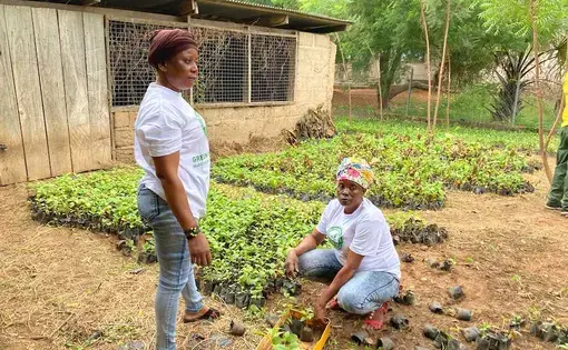 Two women clad in white shirts working on a farm.