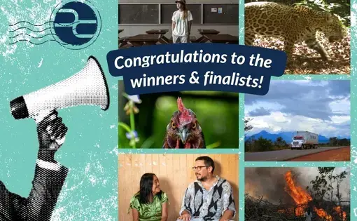 Congratulations to the winners &amp; finalists! graphic for Local Letters for Global Change and Nuestra Amazonia letter-writing contests