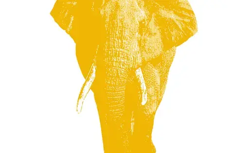 yellow halftone illustration of an elephant