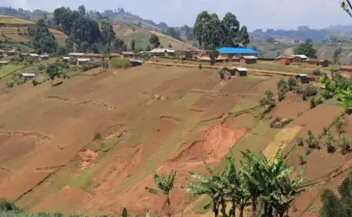 A farm landscape.