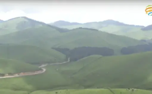 A green landscape.