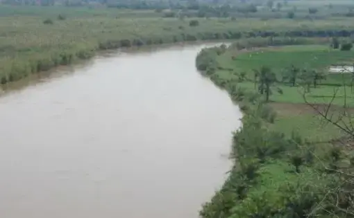 A murky river flows between greenery.