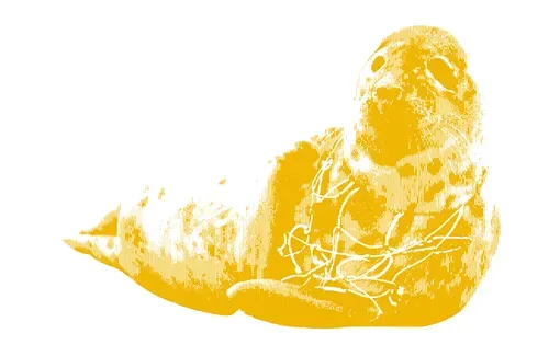 a yellow halftone illustration of a seal with a plastic net around its neck