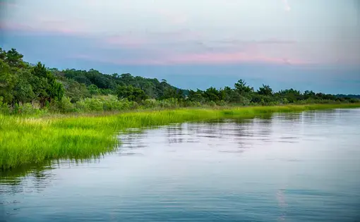The marshy shores of the Cape Fear River. Fort Fisher Air Force Recreation Area, North Carolina. Image by Gary C. Tognoni/Shutterstock.