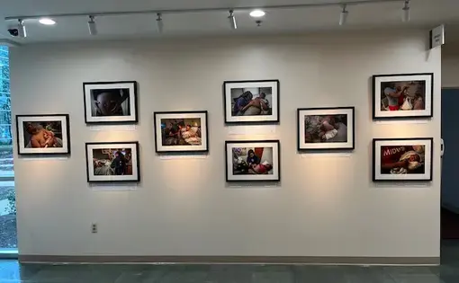 photo gallery