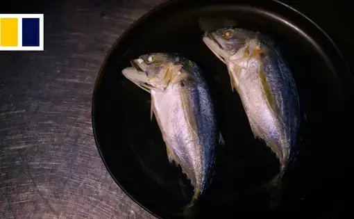two fish in a pan