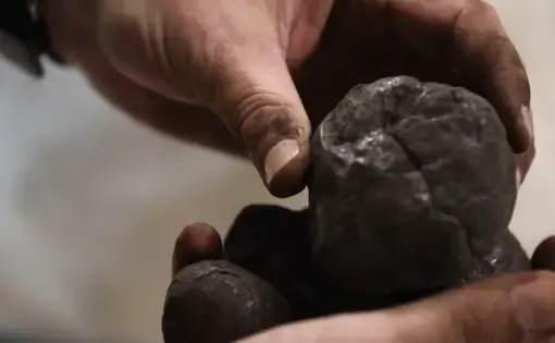 Geologist Jason Chaytor holds a polymetallic nodule retrieved from the deep sea