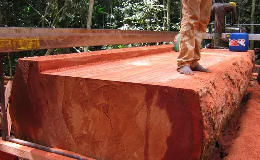 Close-up shot of a wooden log.