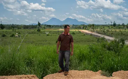 A man stands in a green field.