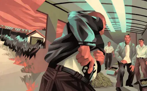 graphic shows a man with a gun entering a room full of marijuana