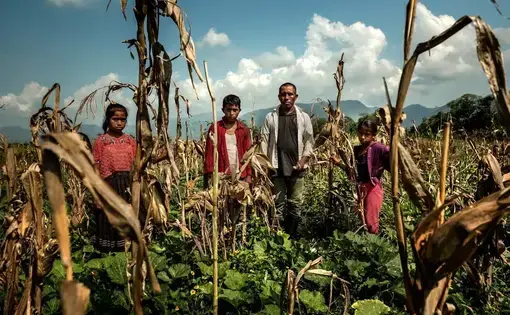 A group of indigenous farmers stand in their farm in Alta Verapaz, Guatemala.