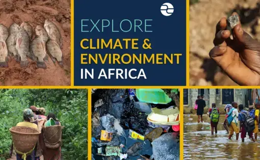 A collage graphic featuring five vibrantly colored photos and the text "Explore Climate and Environment in Africa"