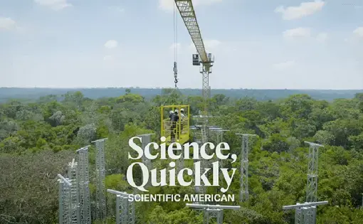 People in a yellow crane box above the Amazon