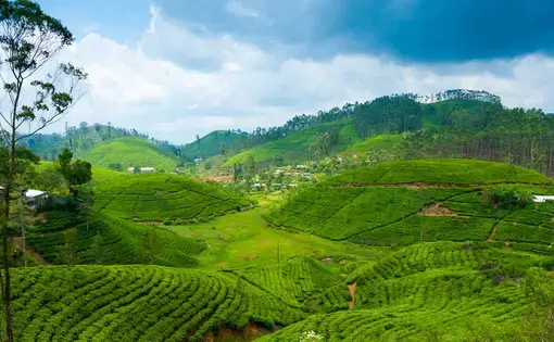 SriLanka