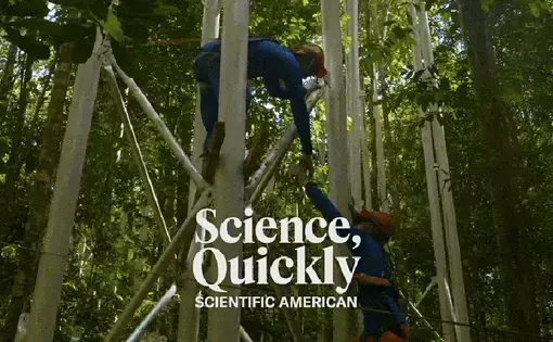 science quickly cover