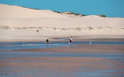 At the base of a sand dune, people crouch over a puddled sand bar with buckets and fishing nets.
