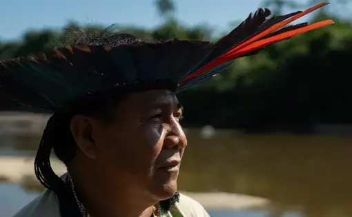 Mongabay(thumbnail)