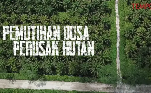 Pemutihan Dosa Perusak Hutan