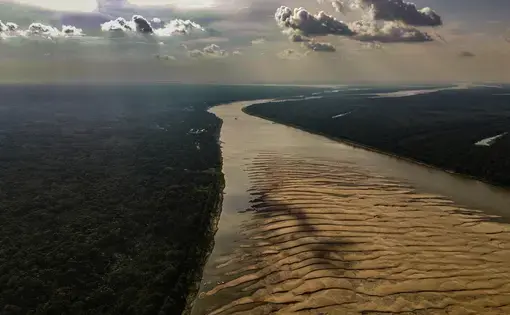 infoamazonia(thumbnail)