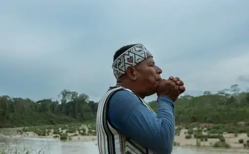 Logging tribe