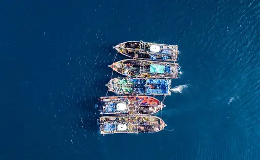 Five fishing trawlers line up on the open ocean. Aerial drone image.