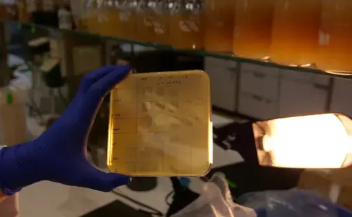 a researcher holding a test tray