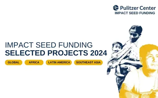 impactseed