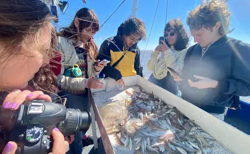 Several people, one holding a camera, gather around a table with fish spilled onto it. They are on a boat, wearing jackets, in daylight..