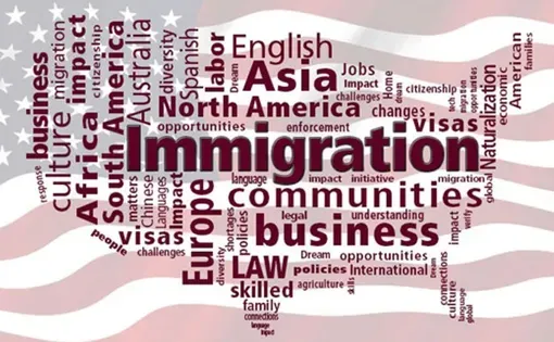 American flag and word cloud about immigration graphic