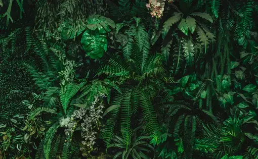 Adding AI to the Environmental Journalist’s Toolbox(thumbnail)
