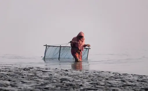 fisherwoman with a net