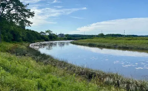 addison marsh thumbnail