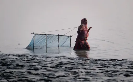 fisherwoman with a net