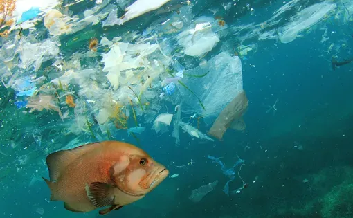 ocean pollution
