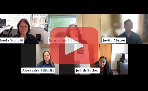 Panelists in on Zoom call