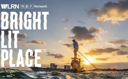 Bright Lit Place graphic