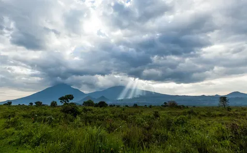 Volcanoes and forest outside Goma town in DR Congo. Image by Denys.Kutsevalov/Shutterstock.