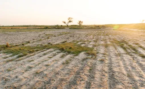 Salty land with sunset view. Image by FlareArts/Shutterstock.