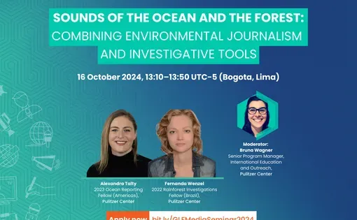 Sounds of the Ocean and Forest