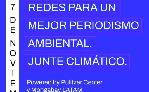 13° edición del Festival LATAM