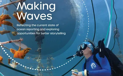Making Waves: Reflecting the current state of ocean reporting and exploring opportunities for better storytelling"