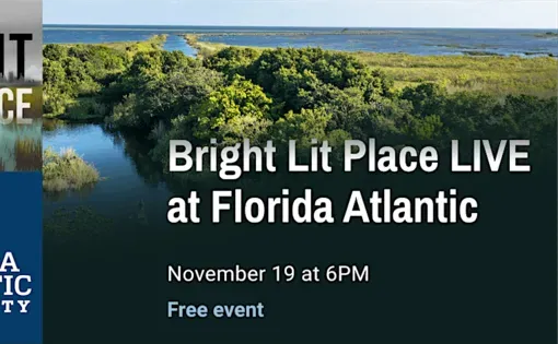 WLRN Bright Lit Place thumbnail